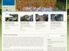 Website Design for Non-Profit Organizations